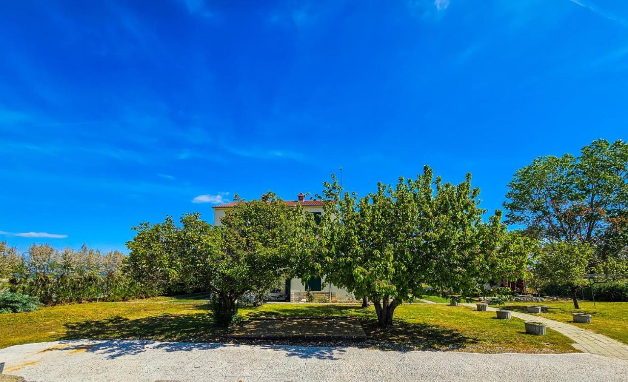 Aenona Sea View Apartments Nin Zewnętrze zdjęcie
